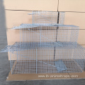 New Arrival Hot Sale of Animal Trap Cage